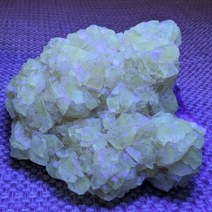 Golden Yellow cubic Calcite cluster UV reactive 312g Rocks and Things