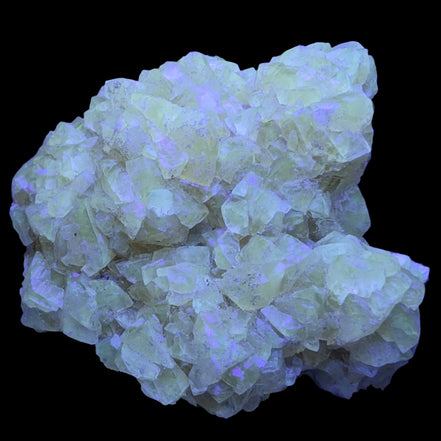 Golden Yellow cubic Calcite cluster UV reactive 312g in UV light - Rocks and Things Store