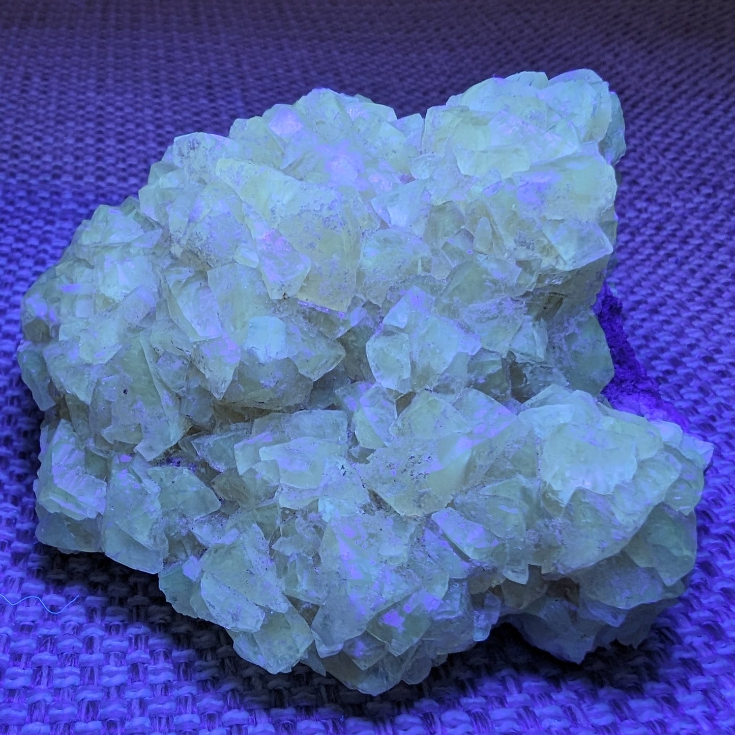 Golden Yellow cubic Calcite cluster UV reactive 312g Rocks and Things