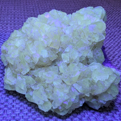 Golden Yellow cubic Calcite cluster UV reactive 312g Rocks and Things