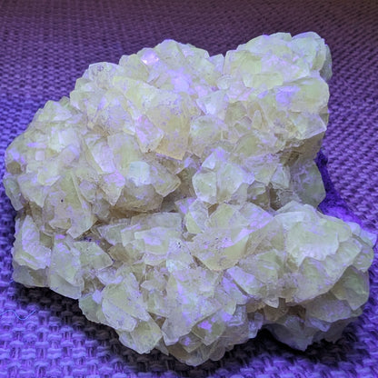 Golden Yellow cubic Calcite cluster UV reactive 312g Rocks and Things