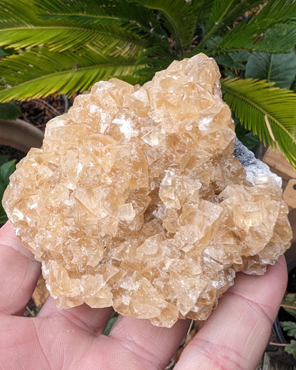 Golden Yellow cubic Calcite cluster UV reactive 312g Rocks and Things