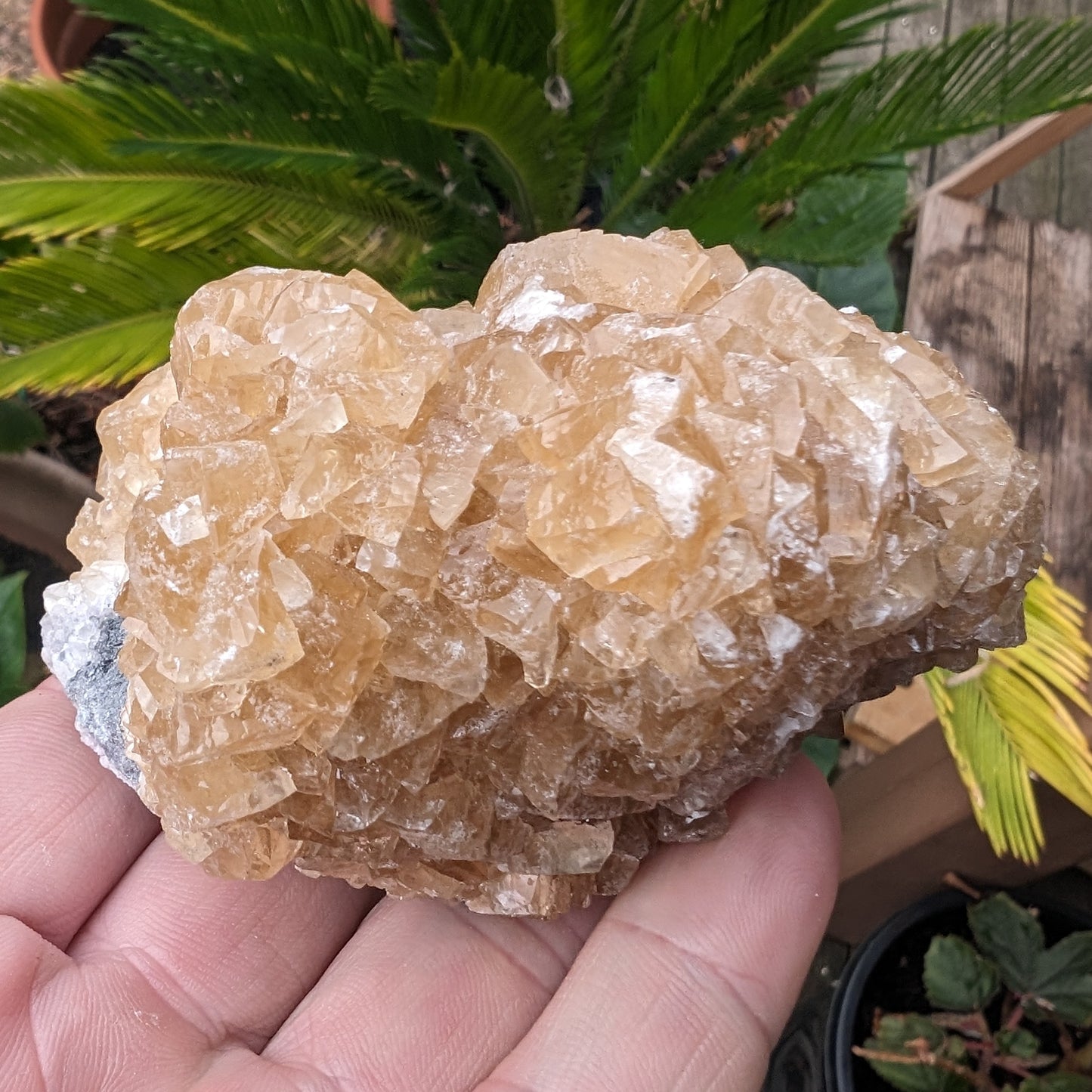 Golden Yellow cubic Calcite cluster UV reactive 312g Rocks and Things