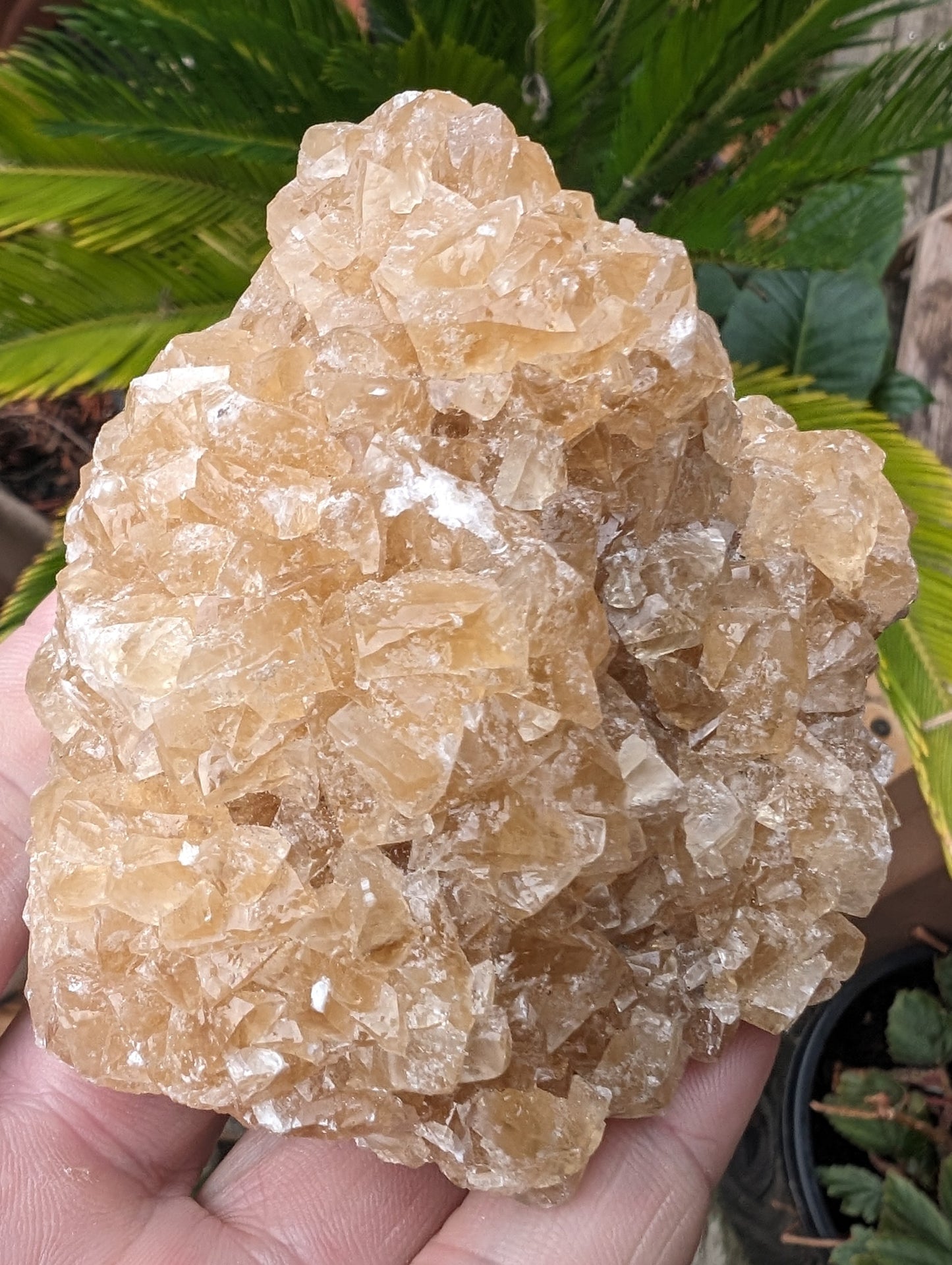 Golden Yellow cubic Calcite cluster UV reactive 312g Rocks and Things