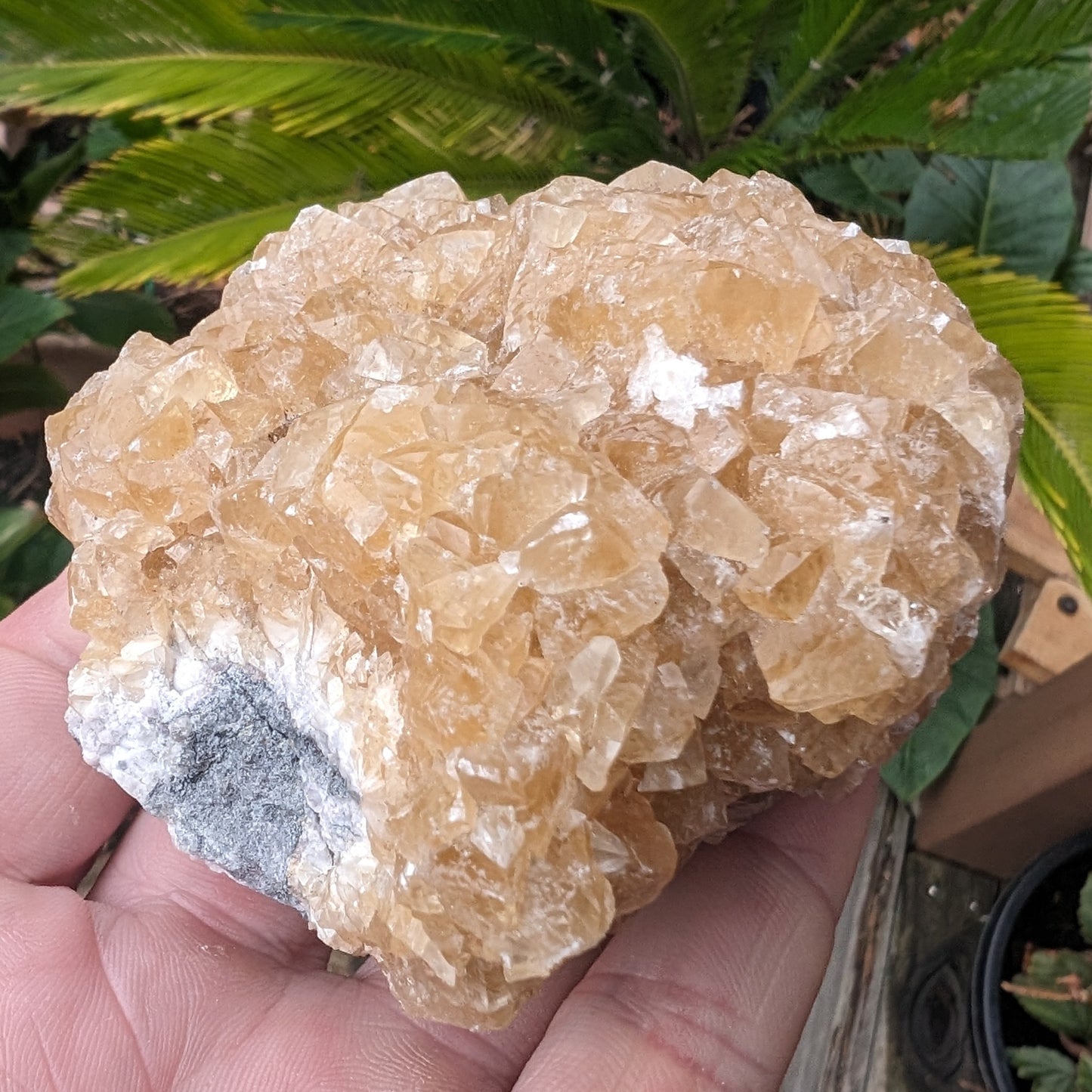 Golden Yellow cubic Calcite cluster UV reactive 312g Rocks and Things