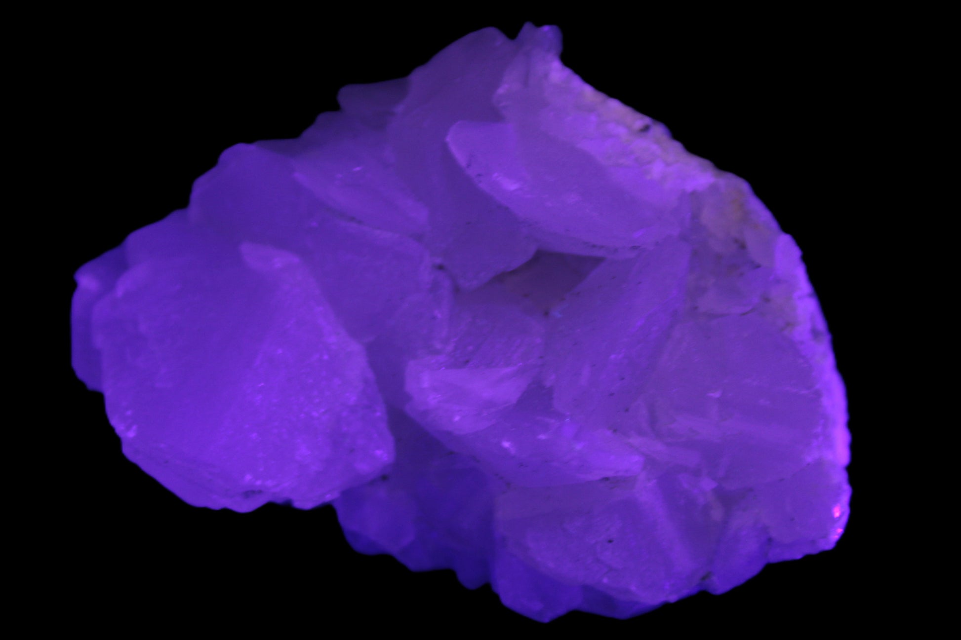 White fluorescent Calcite Cluster 356g Rocks and Things