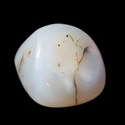 Agate palmstone dendritic 223g in sunlight - Rocks and Things Store