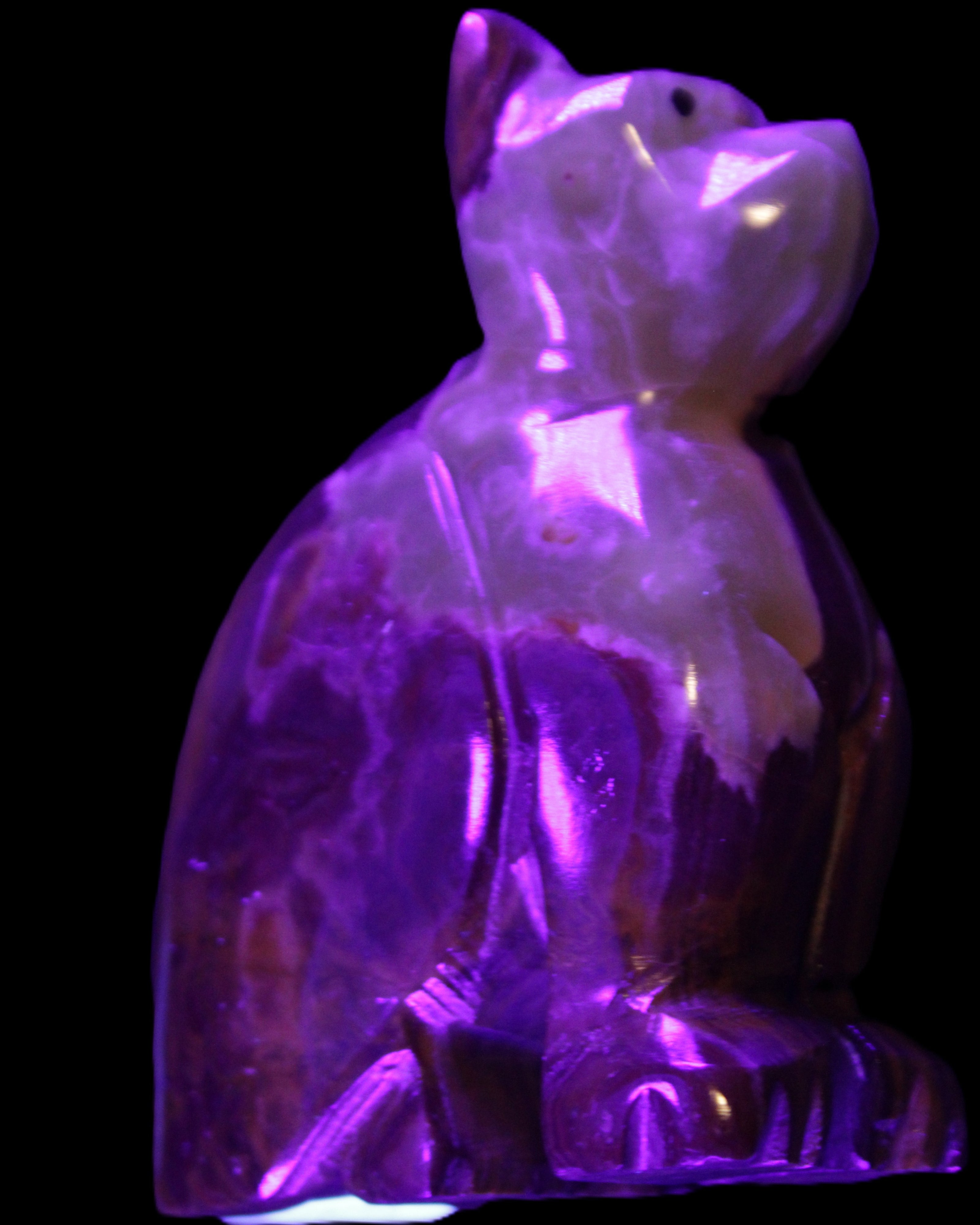 Afghan Jade hand-carved Cat 70*38*100mm 416g in UV light - Rocks and Things Store