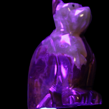 Afghan Jade hand-carved Cat 70*38*100mm 416g in UV light - Rocks and Things Store