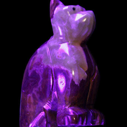 Afghan Jade hand-carved Cat 70*38*100mm 416g in UV light - Rocks and Things Store