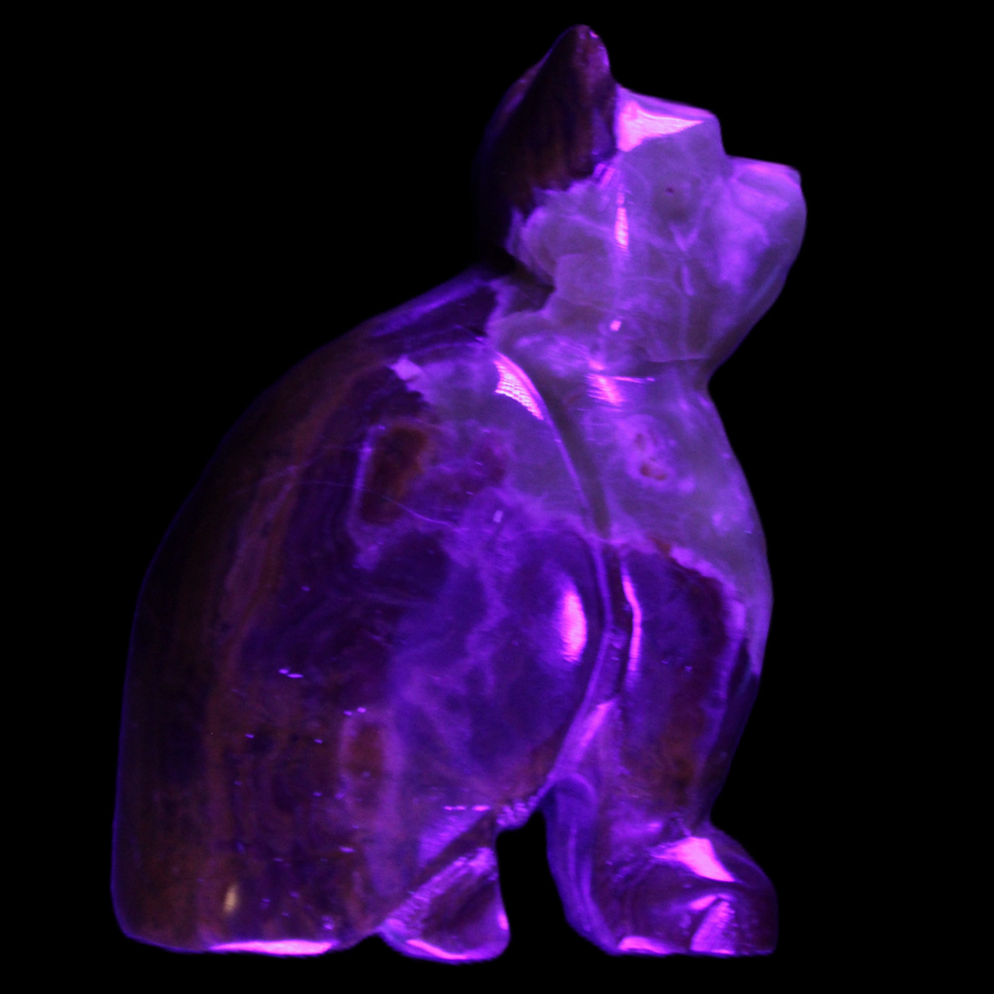 Afghan Jade hand-carved Cat 70*38*100mm 416g in UV light - Rocks and Things Store