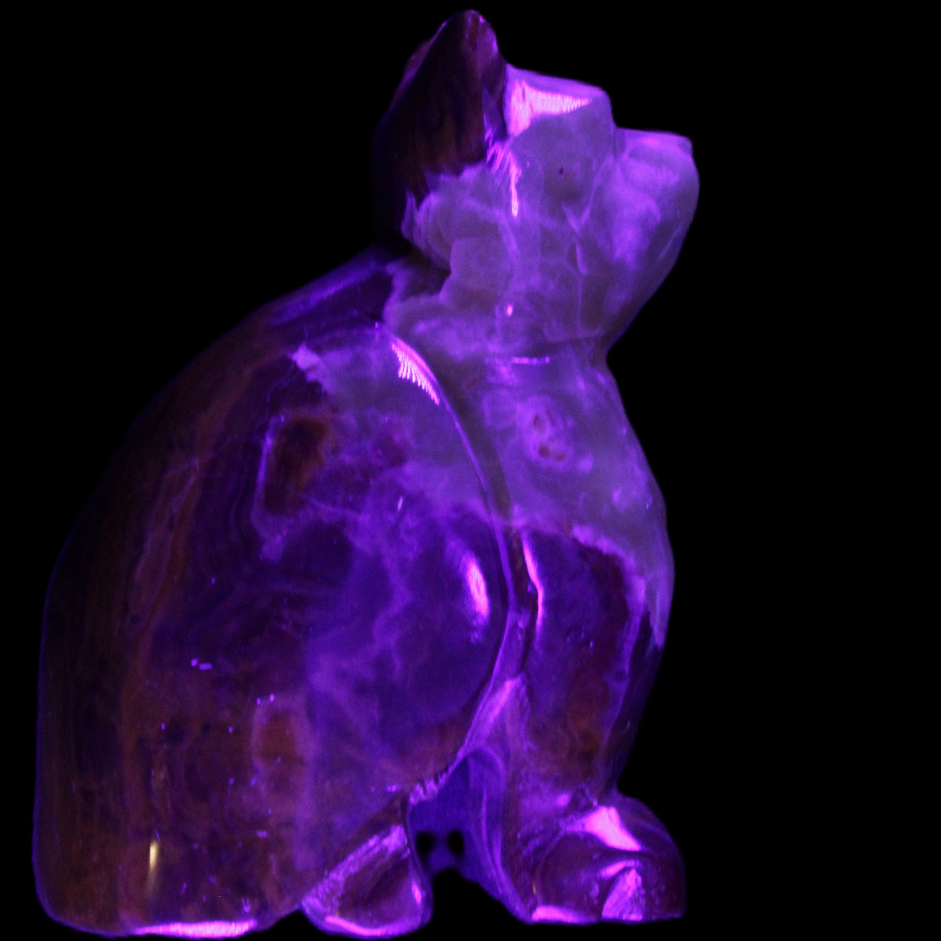 Afghan Jade hand-carved Cat 70*38*100mm 416g in UV light - Rocks and Things Store