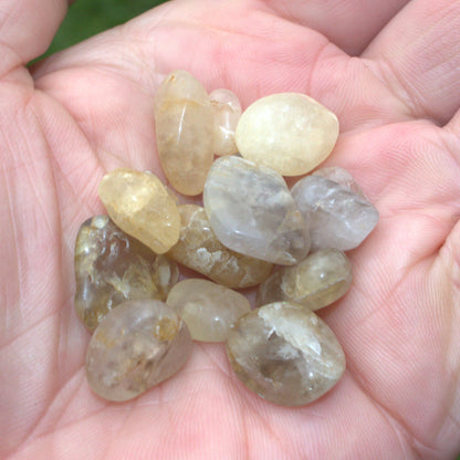 Britannia & Reedy creeks variety mix, 15 crystals, 25g