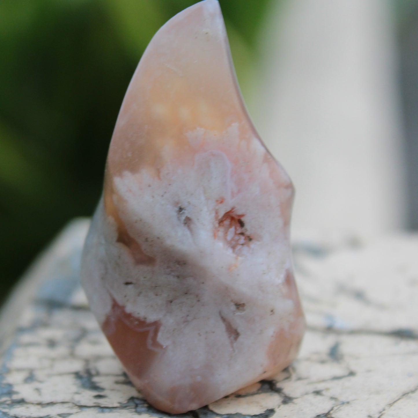 Snowflake Cherry Blossom Agate flame from Madagascar 63g