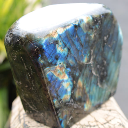 Labradorite 1849g Rocks and Things