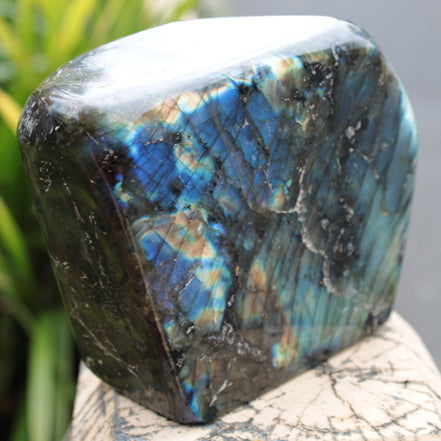Labradorite 1849g Rocks and Things