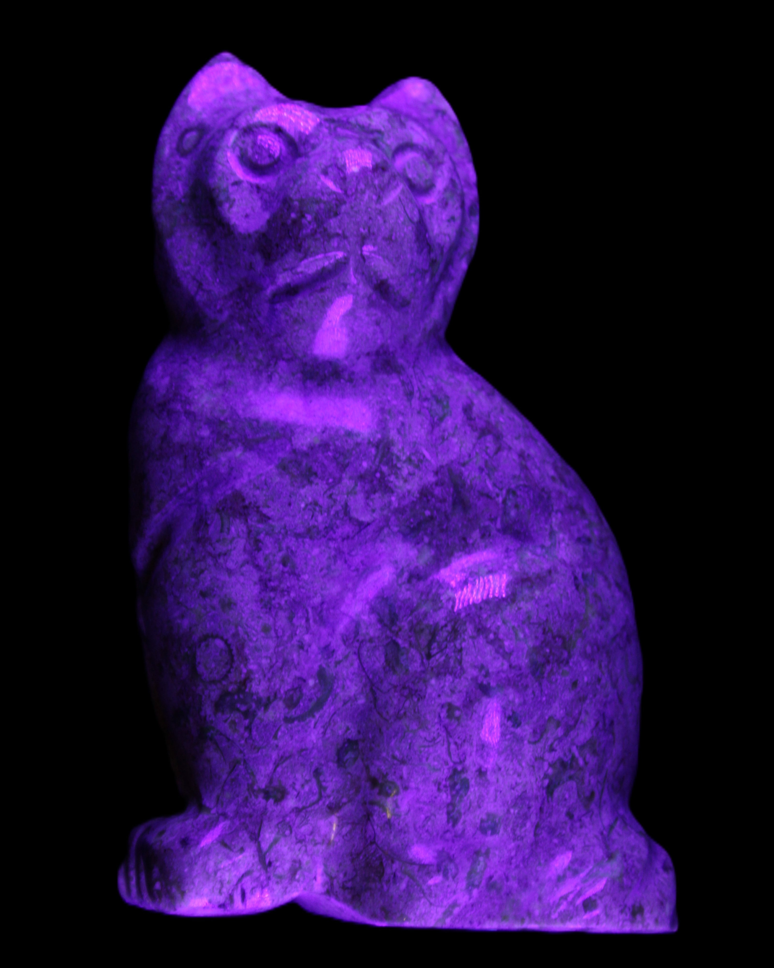Fossil rock hand-carved Cat 76*48*124mm 407g in UV light - Rocks and Things Store