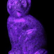 Fossil rock hand-carved Cat 76*48*124mm 407g in UV light - Rocks and Things Store