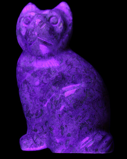 Fossil rock hand-carved Cat 76*48*124mm 407g in UV light - Rocks and Things Store