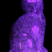 Fossil rock hand-carved Cat 76*48*124mm 407g in UV light - Rocks and Things Store