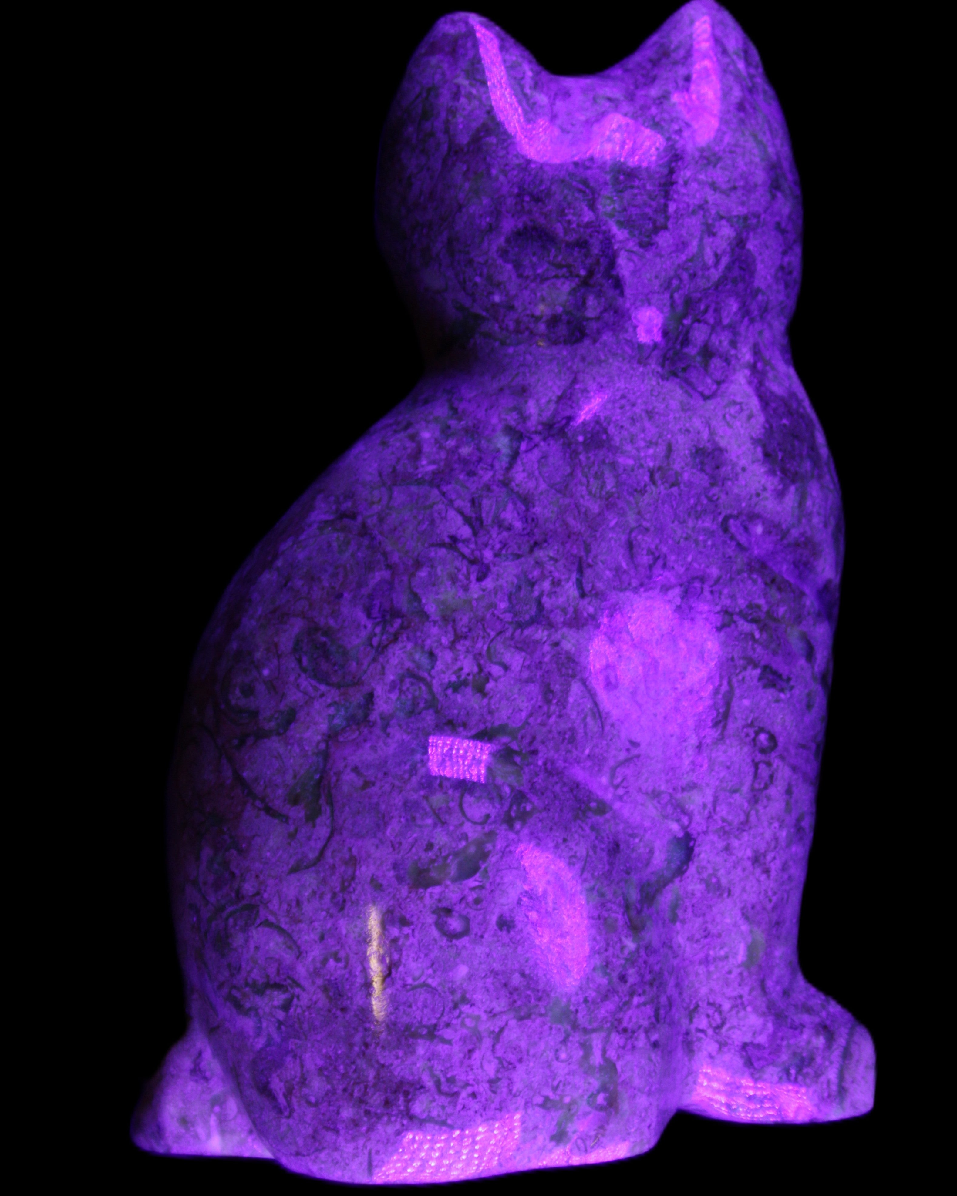 Fossil rock hand-carved Cat 76*48*124mm 407g in UV light - Rocks and Things Store