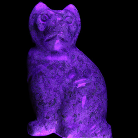 Fossil rock hand-carved Cat 76*48*124mm 407g in UV light - Rocks and Things Store