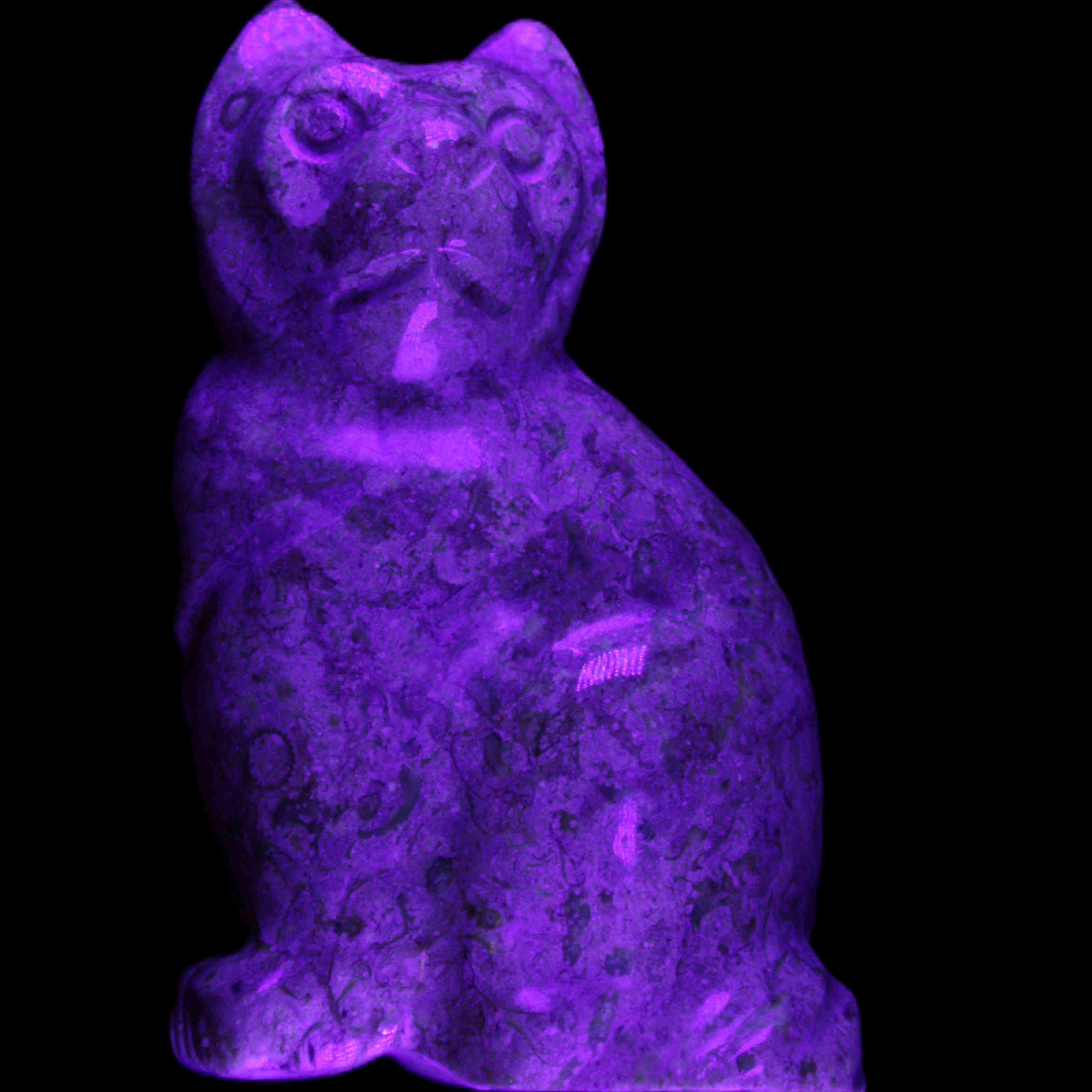 Fossil rock hand-carved Cat 76*48*124mm 407g in UV light - Rocks and Things Store