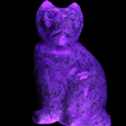Fossil rock hand-carved Cat 76*48*124mm 407g in UV light - Rocks and Things Store