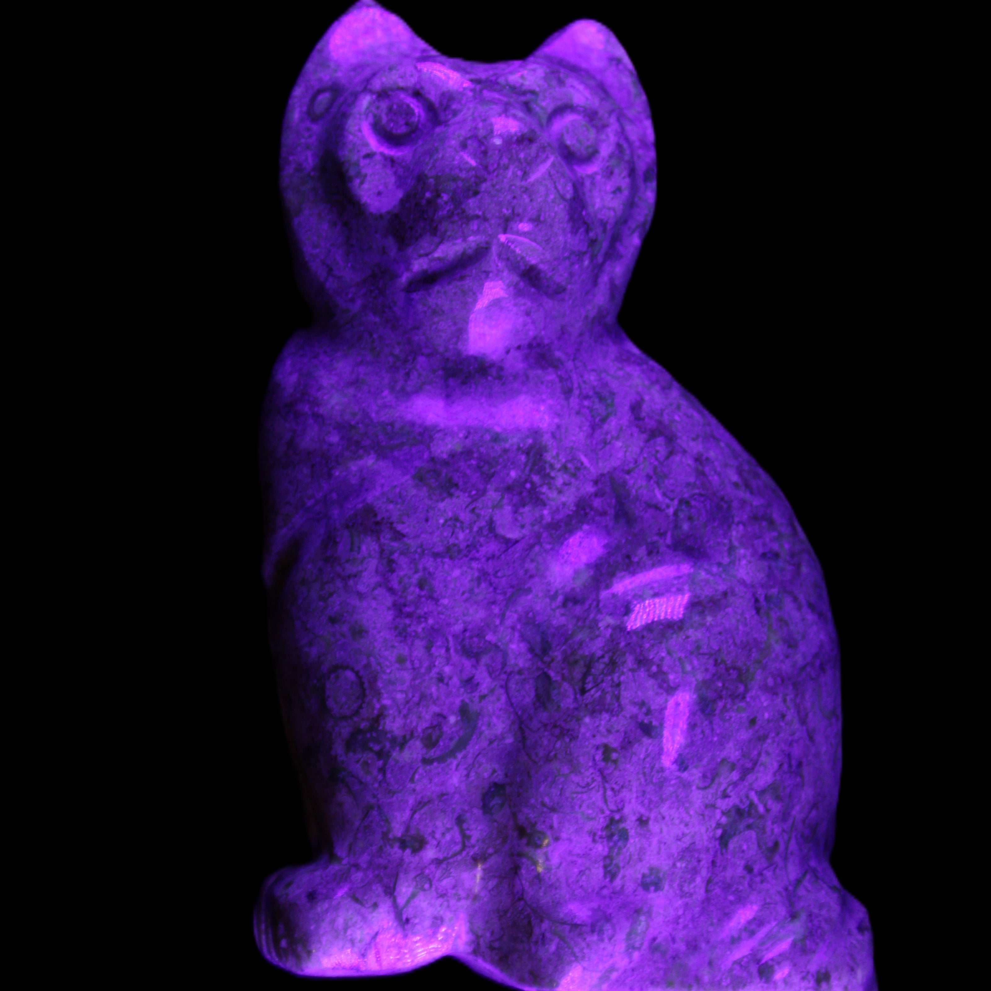 Fossil rock hand-carved Cat 76*48*124mm 407g in UV light - Rocks and Things Store