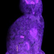Fossil rock hand-carved Cat 76*48*124mm 407g in UV light - Rocks and Things Store