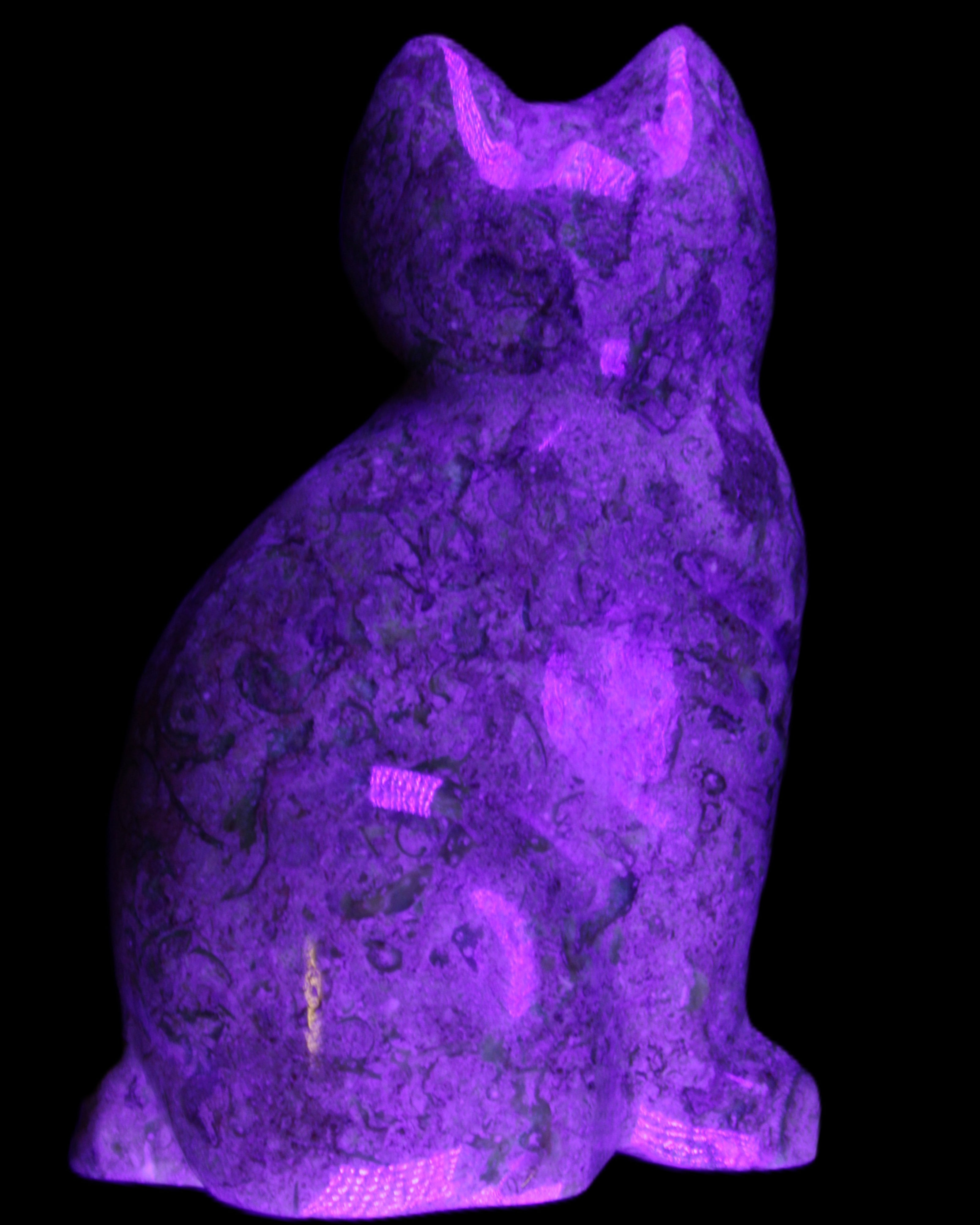 Fossil rock hand-carved Cat 76*48*124mm 407g in UV light - Rocks and Things Store