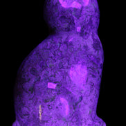 Fossil rock hand-carved Cat 76*48*124mm 407g in UV light - Rocks and Things Store