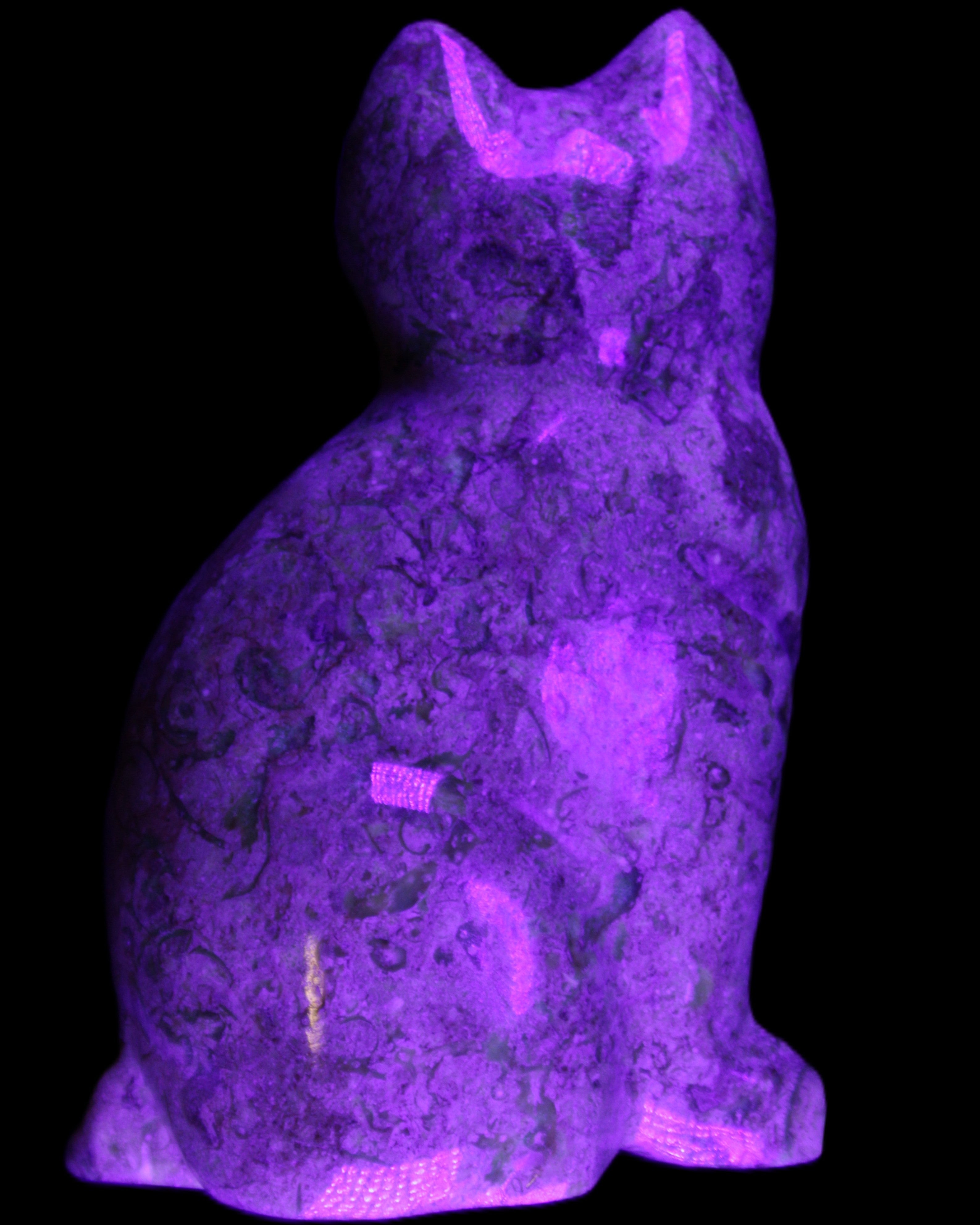 Fossil rock hand-carved Cat 76*48*124mm 407g in UV light - Rocks and Things Store