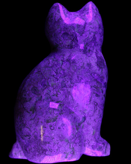 Fossil rock hand-carved Cat 76*48*124mm 407g in UV light - Rocks and Things Store