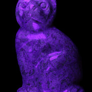 Fossil rock hand-carved Cat 76*48*124mm 407g in UV light - Rocks and Things Store