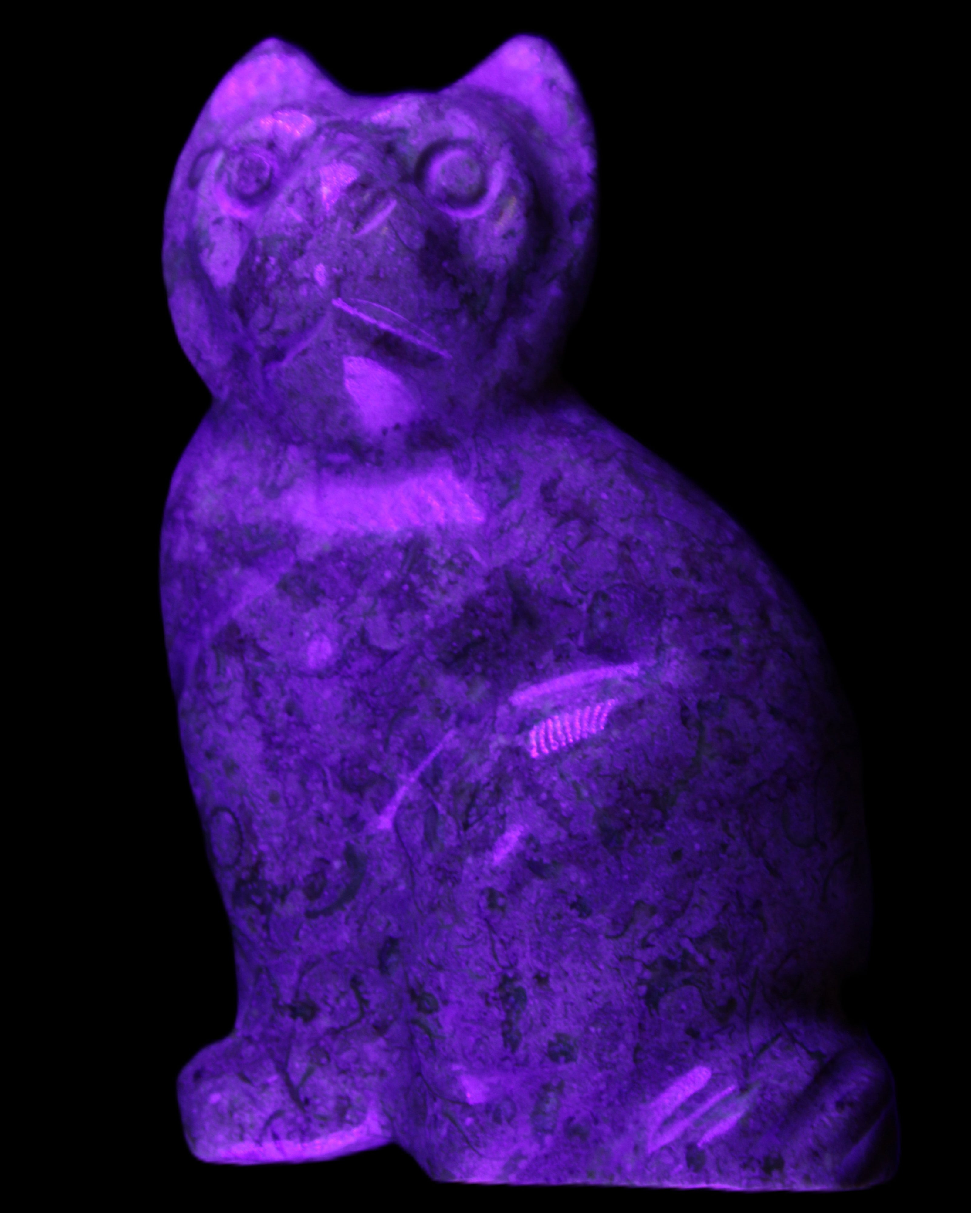 Fossil rock hand-carved Cat 76*48*124mm 407g in UV light - Rocks and Things Store