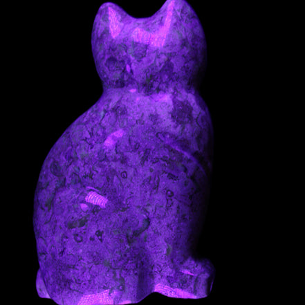 Fossil rock hand-carved Cat 76*48*124mm 407g in UV light - Rocks and Things Store