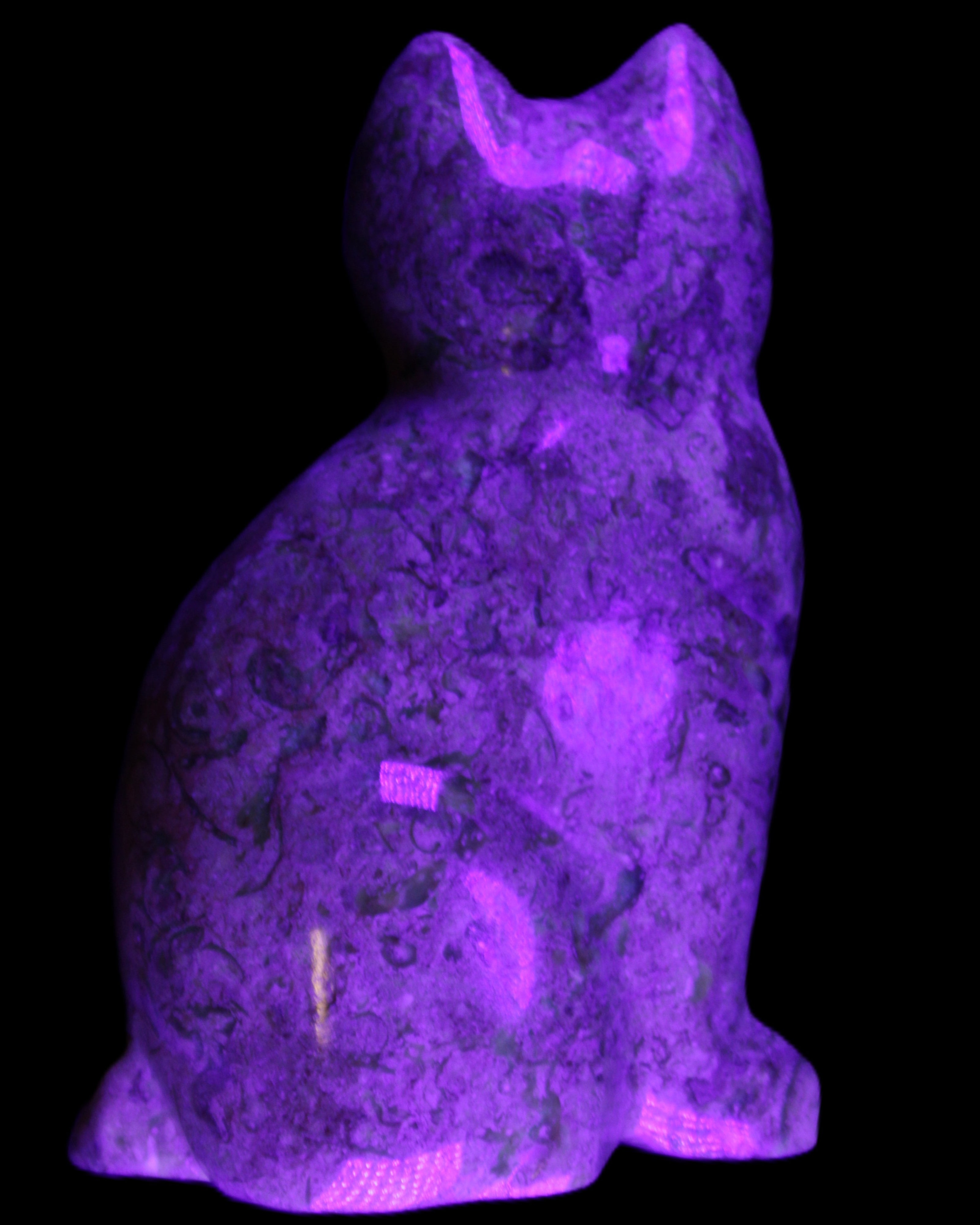 Fossil rock hand-carved Cat 76*48*124mm 407g in UV light - Rocks and Things Store