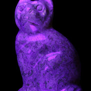 Fossil rock hand-carved Cat 76*48*124mm 407g in UV light - Rocks and Things Store