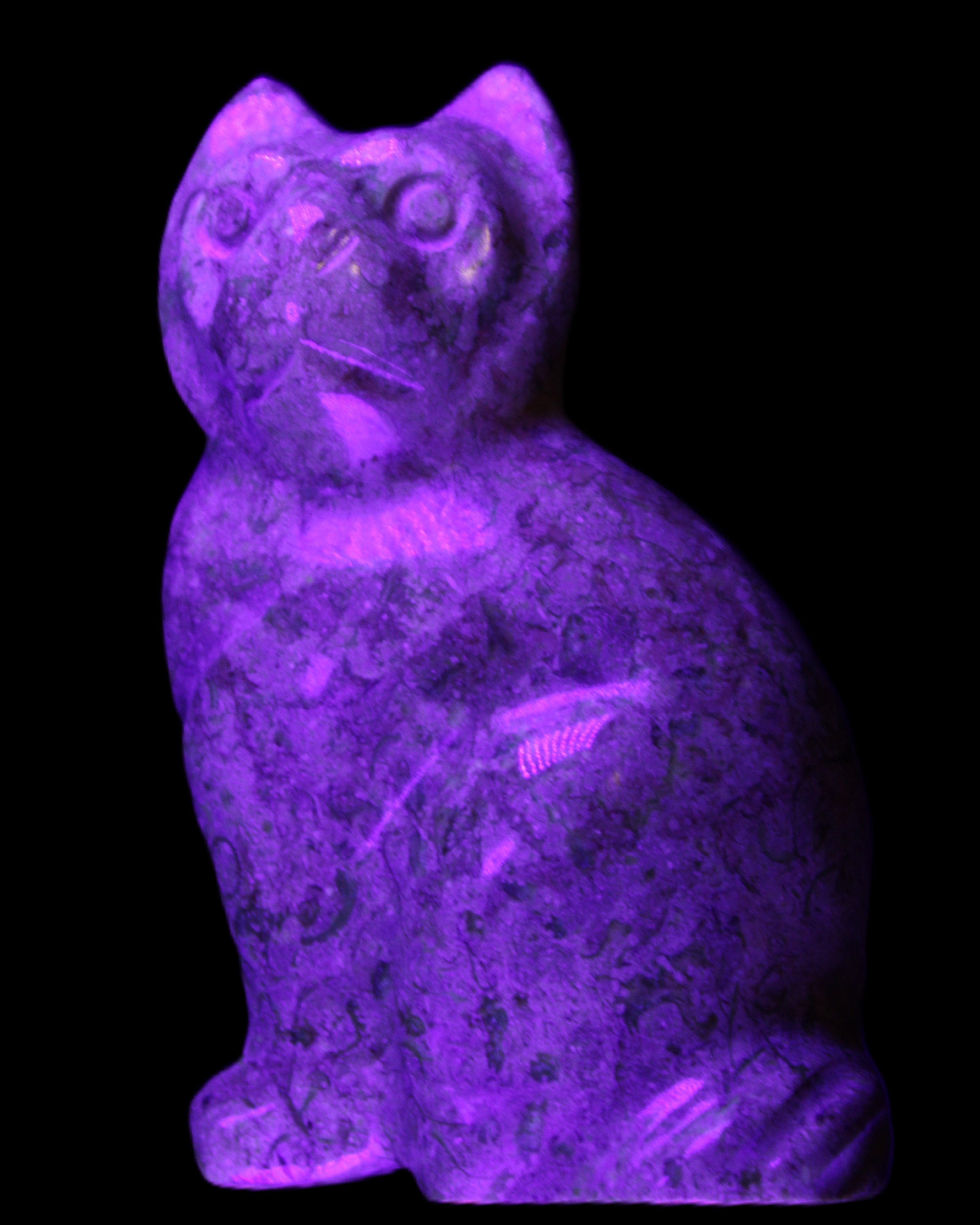 Fossil rock hand-carved Cat 76*48*124mm 407g in UV light - Rocks and Things Store
