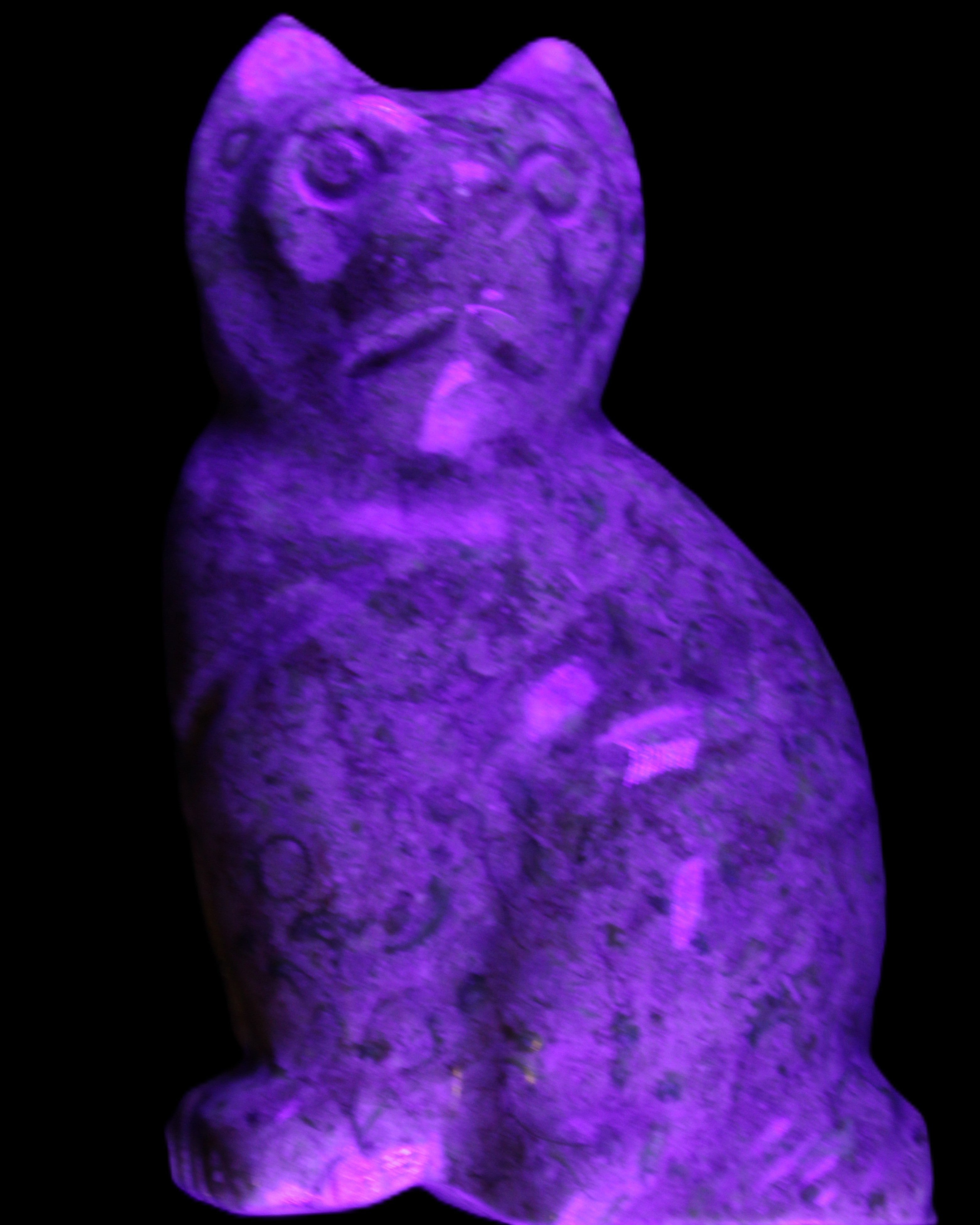 Fossil rock hand-carved Cat 76*48*124mm 407g in UV light - Rocks and Things Store