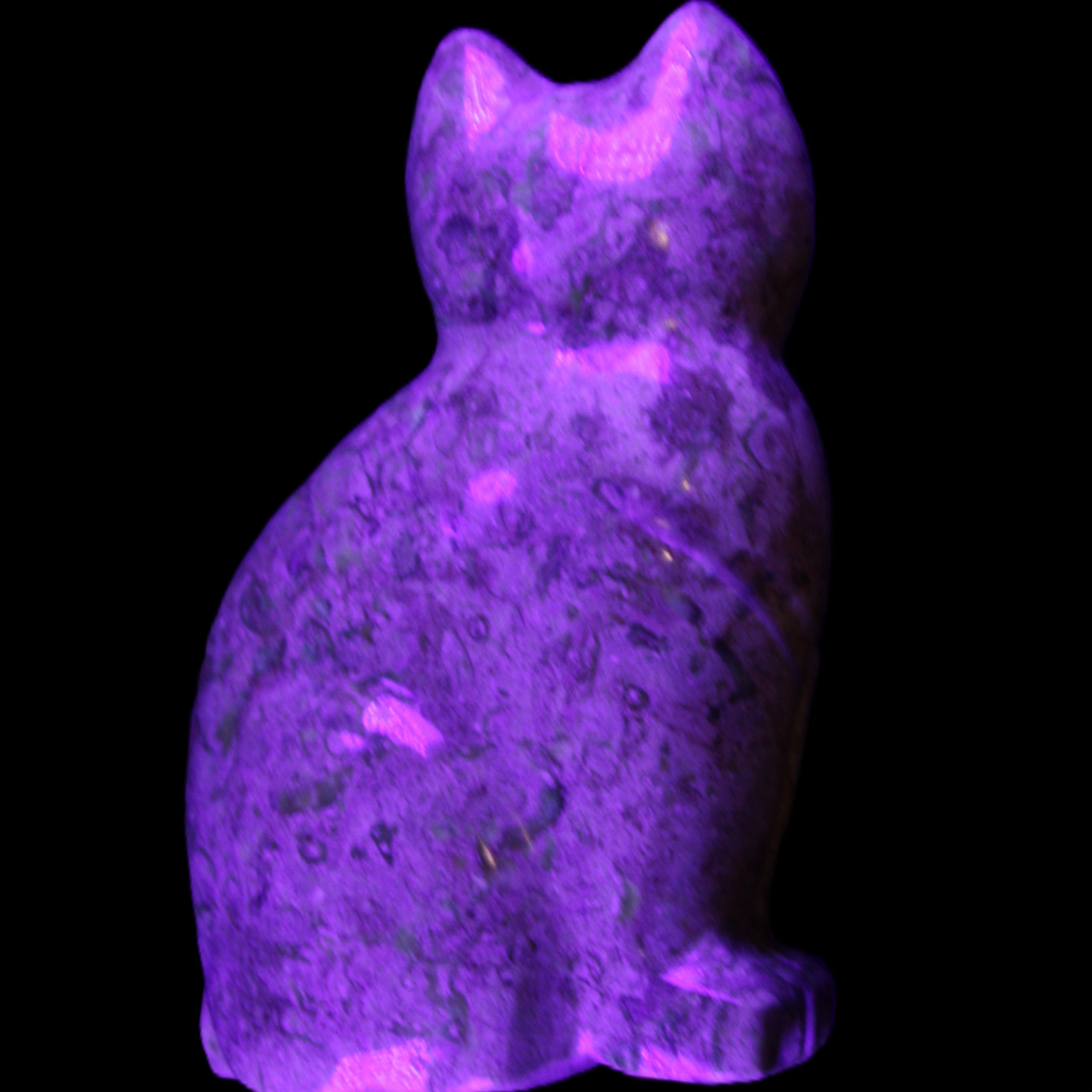 Fossil rock hand-carved Cat 76*48*124mm 407g in UV light - Rocks and Things Store