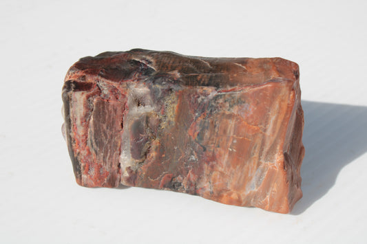 Petrified Wood from Xinjiang China 224g Rocks and Things