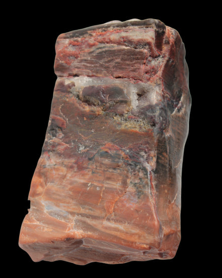 Petrified Wood from Xinjiang, China 224g in sunlight - Rocks and Things Store