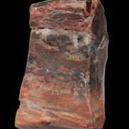 Petrified Wood from Xinjiang, China 224g in sunlight - Rocks and Things Store