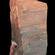 Petrified Wood from Xinjiang, China 224g in sunlight - Rocks and Things Store