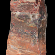 Petrified Wood from Xinjiang, China 224g in sunlight - Rocks and Things Store