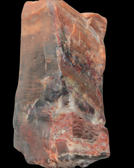Petrified Wood from Xinjiang, China 224g in sunlight - Rocks and Things Store