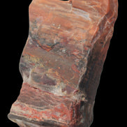 Petrified Wood from Xinjiang, China 224g in sunlight - Rocks and Things Store