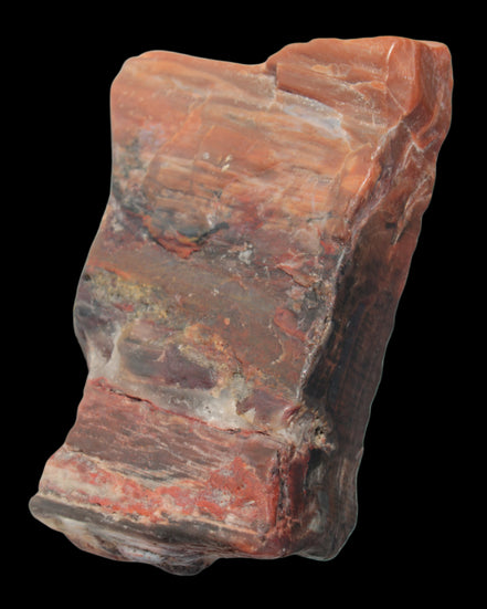 Petrified Wood from Xinjiang, China 224g in sunlight - Rocks and Things Store